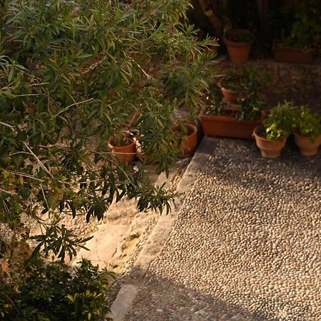 הוילה חאניה Casa Artia מראה חיצוני תמונה